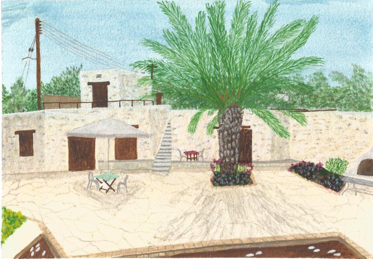 Palm Tree Oriental House And Homestay Polis Exteriér fotografie